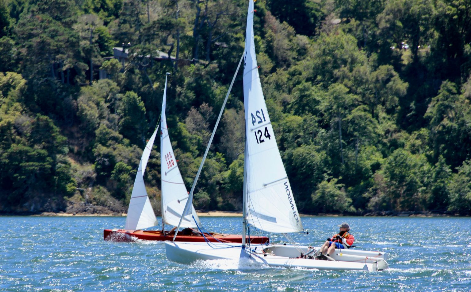 inverness yacht club sailing camp
