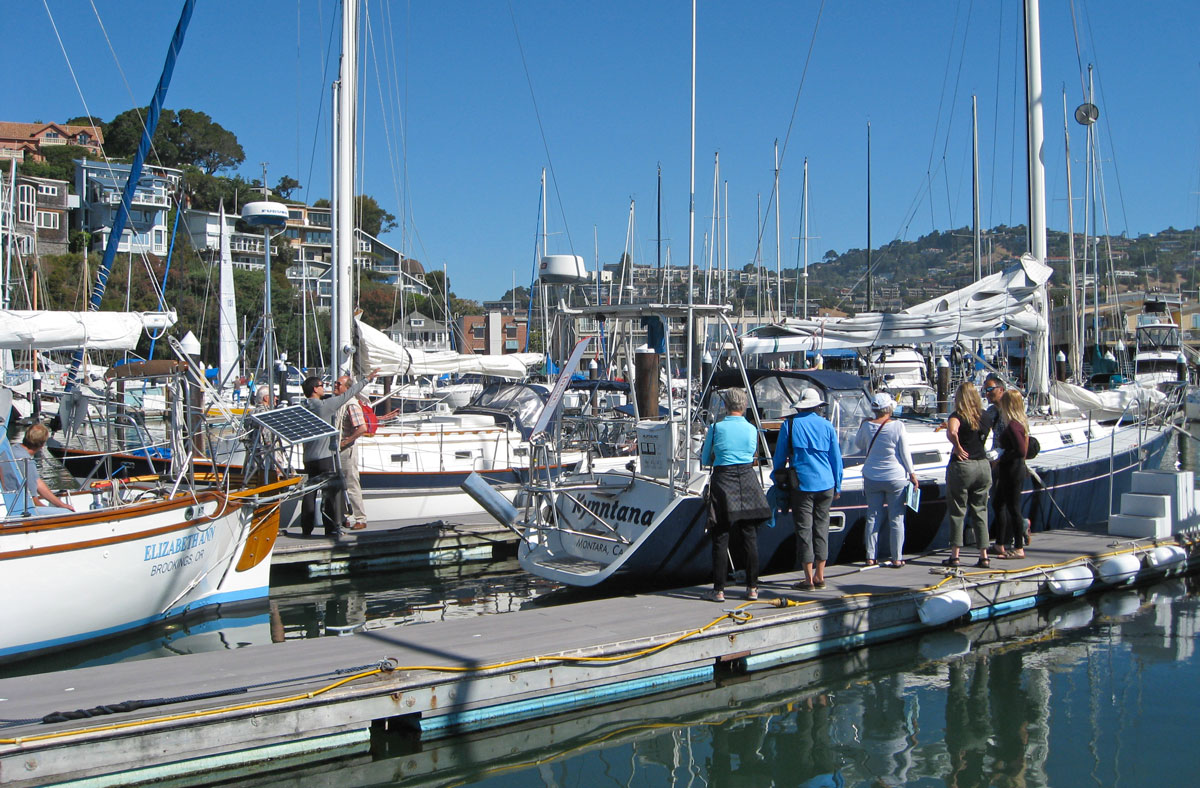 globe single handed yacht race codycross