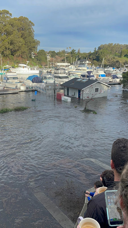 Tongan Tsunami Inundates Santa Cruz Harbor